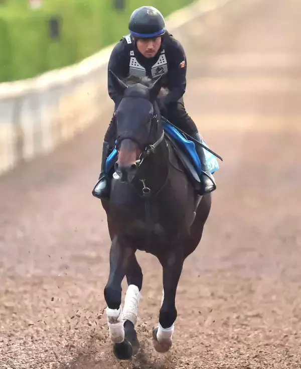 Ｇ１制覇で全米に衝撃与えたテーオーエルビスとケンタッキーダービー挑戦のワンダーディーンが帰国　ＪＲＡ発表