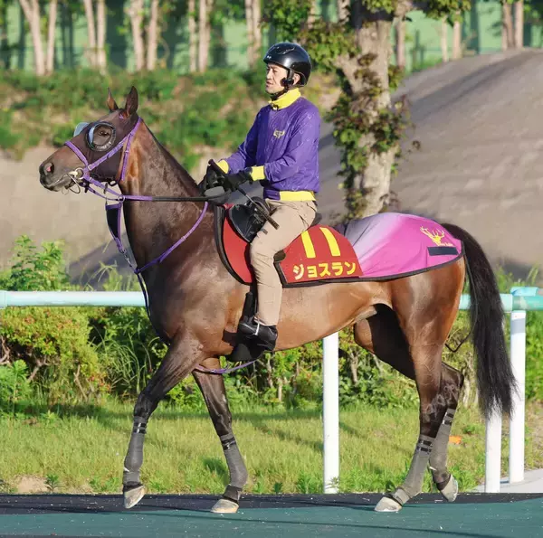 【ヴィクトリアＭ】小倉牝馬Ｓ勝利から挑むジョスランは順調な調整　追い切り後も「いつもと変わらず」と陣営