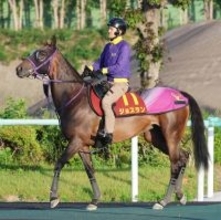 【ヴィクトリアＭ】小倉牝馬Ｓ勝利から挑むジョスランは順調な調整　追い切り後も「いつもと変わらず」と陣営