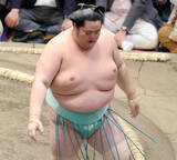 「休場の大関・琴桜について師匠の佐渡ケ嶽親方が説明「腰に力が入らないと」…名古屋場所はカド番」の画像1