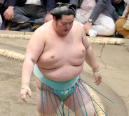休場の大関・琴桜について師匠の佐渡ケ嶽親方が説明「腰に力が入らないと」…名古屋場所はカド番