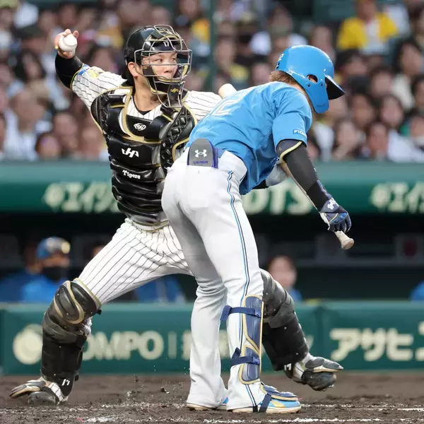 【阪神】昨年トレードで日本ハムから移籍の伏見寅威、水野達稀の二盗阻止！元コンビの伊藤大海からＨランプも