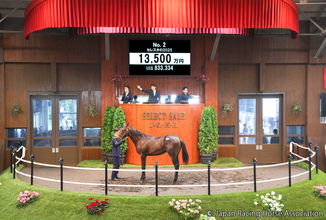 【セレクトセール２０２６】２頭目ではやくも１億円超え！牝馬Ｇ１戦線で活躍ハーパーの半弟「セレスタの２０２５」が１億３５００万円