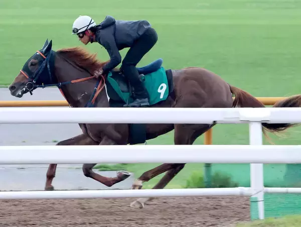 【函館２歳Ｓ】ダート圧勝のノリヤンモーニンは芝もＯＫ　浜中俊騎手「手脚が軽いから芝でも大丈夫」単走で軽快
