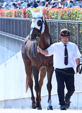【東海Ｓ・１週前】福永調教師が「いい状態で使えるんちゃうかな」重賞初挑戦のメイショウハチローに手応えあり
