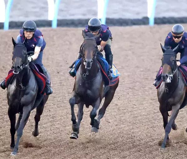 【関屋記念】遅れてきた怪物がついに重賞初挑戦！６戦４勝のアンパドゥに陣営「ここでもやれる馬だと…」