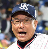 「【ヤクルト】今季４度目２ケタ得点の猛攻で８月ようやく２勝目　本拠神宮での連敗を４でストップ」の画像1