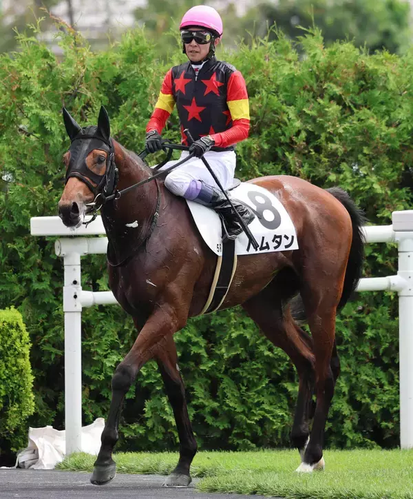 【２２日の注目・中京１１Ｒ】３億１０００万円馬が初勝利へ　“シルバーコレクター”の初子ハムタン　
