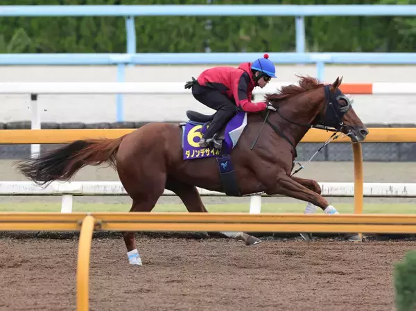 【天皇賞・秋・１週前】Ｇ１・４戦連続３着のダノンデサイルは力強く伸び好時計　戸崎騎手「最後の反応も問題なかった」