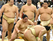 巡業初同行の十両・藤青雲、申し合い稽古では元大関の霧島に連勝「番付が上なので、とても自信になる」