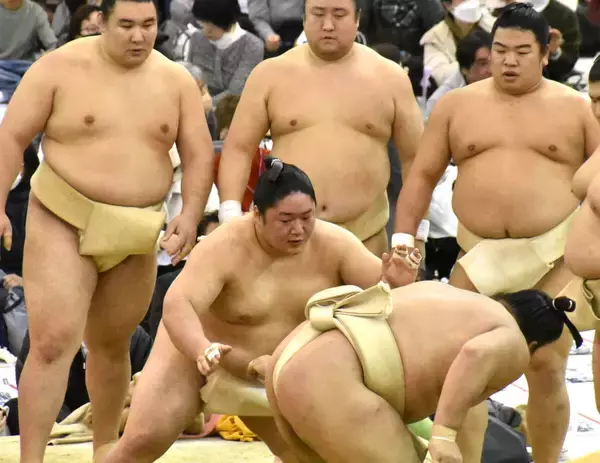 巡業初同行の十両・藤青雲、申し合い稽古では元大関の霧島に連勝「番付が上なので、とても自信になる」