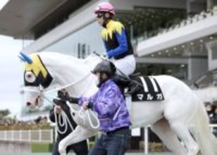 【中京９Ｒ・つわぶき賞】ソダシ半妹の白毛マルガは追い込み届かず３着　武豊騎手「伸びてゴールできた」
