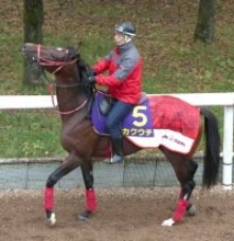 【朝日杯ＦＳ】カクウチは勝利の美酒で乾杯目指す　陣営「放牧から大きくなって戻ってきた」