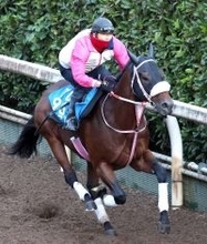【注目馬動向】シャマルは復帰戦のかきつばた記念で岩田望来騎手と初コンビ