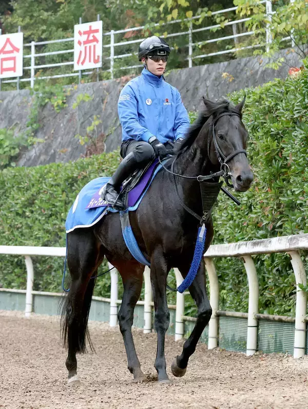 【アミールＴ】池江泰寿調教師「池江一族の夢」遅咲き８歳ディープ産駒　ディープモンスターが海外重賞初制覇　
