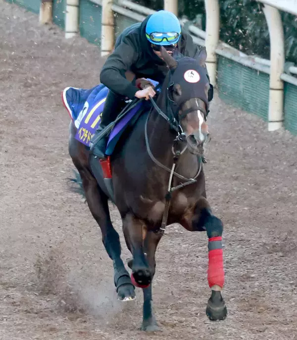 【フェブラリーＳ】一昨年の勝ち馬ペプチドナイルが主導権握る！？　武英調教師「ハナを叩いてもらおうかと思っている」