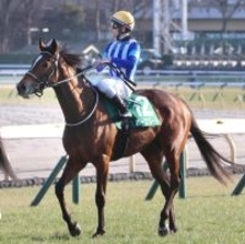 【ダイヤモンドＳ】紅一点ホーエリートは５着で３８年ぶり牝馬Ｖならず　戸崎圭太騎手「壁を作りたくて１回下げたら...」