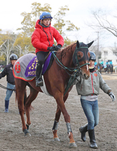 【中山記念】「天が味方」雨マーク並ぶ予報に田中剛調教師も笑み　２年９か月ぶり復活星へシャンパンカラー　