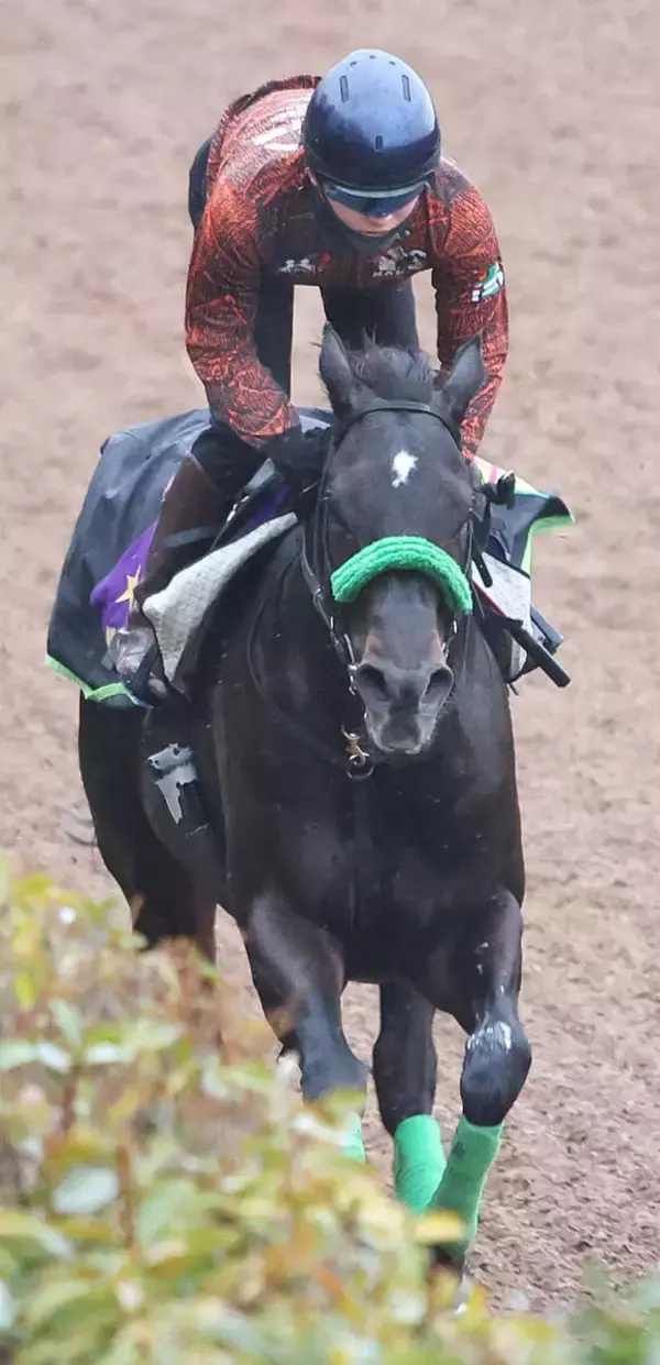 【オーシャンＳ】ルガルが２週連続栗東・坂路で抜群の動き　鮫島克駿騎手「ラストも馬なりでいい動きでした」