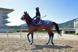 「日曜中山競馬場の注目激走馬…中山１１Ｒ皐月賞・Ｇ１」の画像1