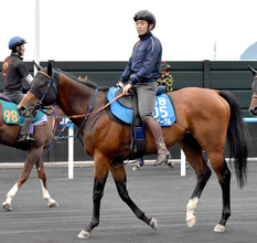 【大沼Ｓ】ユニコーンＳの覇者カナルビーグルが１年１か月ぶりに復帰　陣営「この馬の力を出してくれれば」