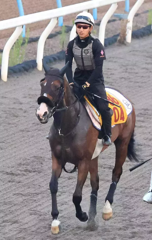 【アイビスＳＤ】“千直”マスターの菊沢一樹騎手がエコロレジーナでＶ狙う「十分チャンスだと思っています」