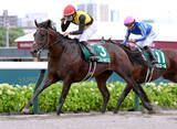 「【エルムＳ】ルクソールカフェ完全復活の重賞２勝目　岩田望来騎手「強さを発揮してくれました」」の画像1