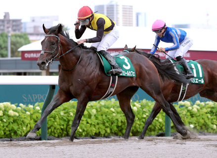 【エルムＳ】ルクソールカフェ完全復活の重賞２勝目　岩田望来騎手「強さを発揮してくれました」