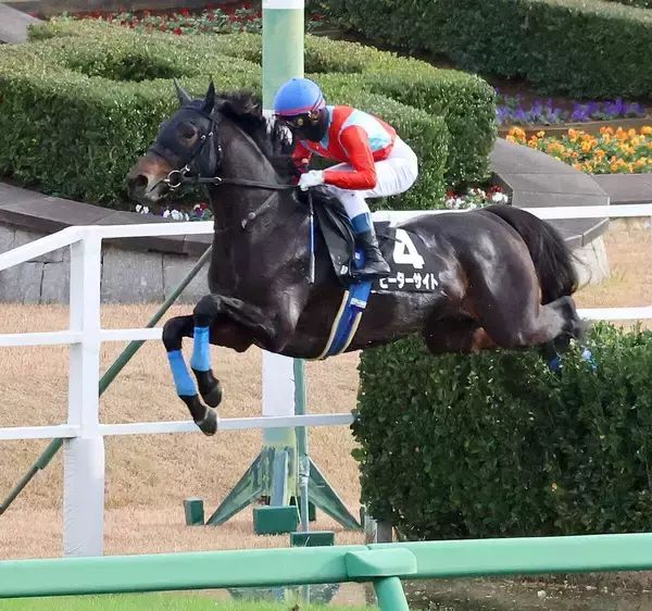 【イルミネーションＪＳ】ピーターサイトが逃げ切ってオープン初勝利　上野翔騎手「馬に助けられた」