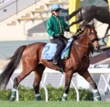 【香港カップ】香港最強馬に食い下がるもベラジオオペラ２着　ロマンチックウォリアーは４連覇