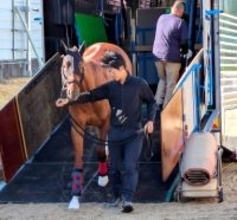 【朝日杯ＦＳ】無傷の３連勝狙うエコロアルバは道悪でも問題なし　「サウジアラビアＲＣも稍重のような馬場」