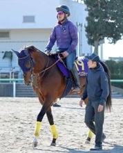 【注目馬動向】レーベンスティールがドバイ・ターフとゴドルフィンマイルに予備登録