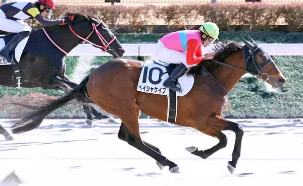 史上２人目の３０００勝に王手　横山典弘騎手が東京８Ｒをペイシャケイプで勝利しＪＲＡ通算２９９９勝目