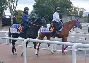 【きさらぎ賞】万一の事態に備えたゾロアストロが最終調整で好気配　宮田調教師「いいスクーリングになった」