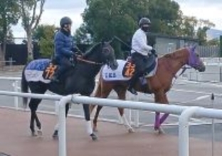 【きさらぎ賞】万一の事態に備えたゾロアストロが最終調整で好気配　宮田調教師「いいスクーリングになった」