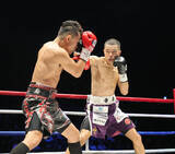 「【ボクシング】増田陸、元世界５階級制覇王者の４３歳ドネアに勝つ…ＷＢＡバンタム級王座挑戦権獲得」の画像1