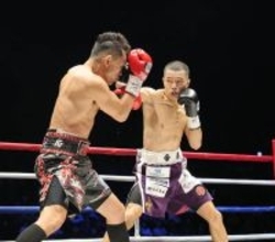 【ボクシング】増田陸、元世界５階級制覇王者の４３歳ドネアに勝つ…ＷＢＡバンタム級王座挑戦権獲得