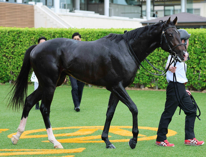 【ＵＡＥダービー】ワンダーディーンが海外で重賞初Ｖ　高柳大調教師「もちろんケンタッキーダービーに向かいます」