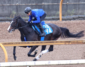 【アンタレスＳ】安定感抜群のムルソーは２枠４番　フェブラリーＳ４着のブライアンセンスは１枠１番　枠順決定