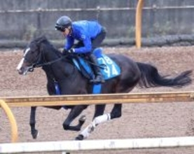 【アンタレスＳ】安定感抜群のムルソーは２枠４番　フェブラリーＳ４着のブライアンセンスは１枠１番　枠順決定