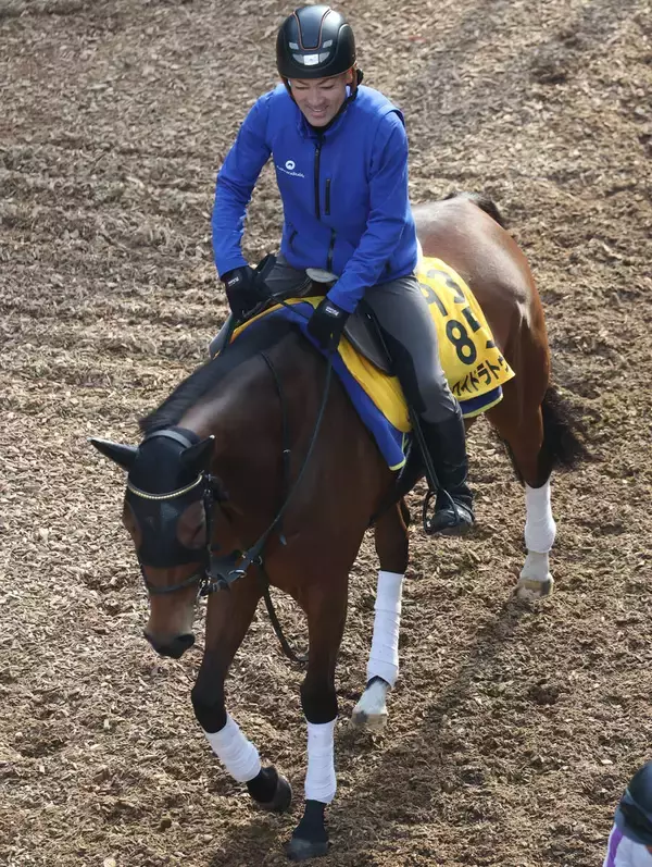 土曜東京競馬場の注目激走馬…東京１１Ｒ京王杯スプリングカップ・Ｇ２