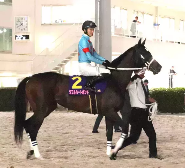 【注目馬動向】レディスプレリュードでまさかの４着ダブルハートボンドはチャンピオンズＣへ　連覇ならＪＣダート時代から史上３頭目