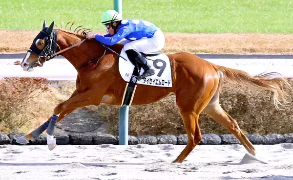 【中山６Ｒ・２歳新馬】単勝２０５・７倍タイセイエムロードが最低人気Ｖ　石田拓郎騎手「展開が向きました」