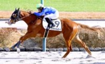 【中山６Ｒ・２歳新馬】単勝２０５・７倍タイセイエムロードが最低人気Ｖ　石田拓郎騎手「展開が向きました」