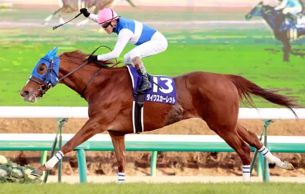 【有馬制した牝馬３】ダイワスカーレットが歴史的な逃走劇　３７年ぶりの快挙が”ラストラン”に