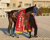 「【東京大賞典】地方競馬１レース最高売り上げを更新　昨年から４・８％増の９９億５０１７万１６００円」の画像1