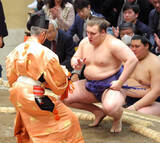 「唯一の弱点克服なるか　安青錦の連続優勝を占う２日目…元大関・琴風の目」の画像1