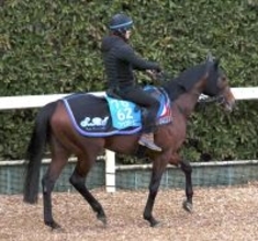 【ＡＪＣＣ】転厩初戦のファウストラーゼンは須貝流で調整　陣営「気性的にも扱いやすい総合力の高い馬です」