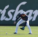 「外野陣は「データ」＋「歩数」のメジャー流ポジショニング！周東も「分かりやすい」興味津々」の画像1