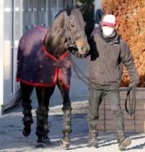 【フェブラリーＳ】Ｇ１初挑戦のロードクロンヌは５枠１０番　四位調教師「真ん中でちょうどいいんじゃないか」